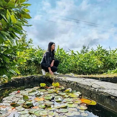 Quiet Self-catering With Surrounding Lakes بيت للعطل