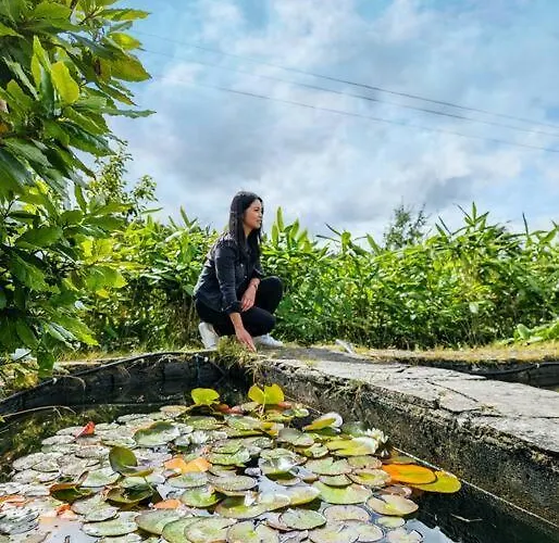 Quiet Self-catering With Surrounding Lakes Semesterbostad